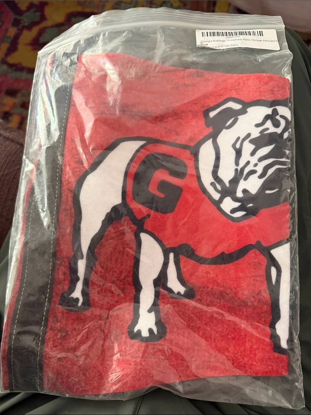 Red Georgia BullDogs College Pennant Flag